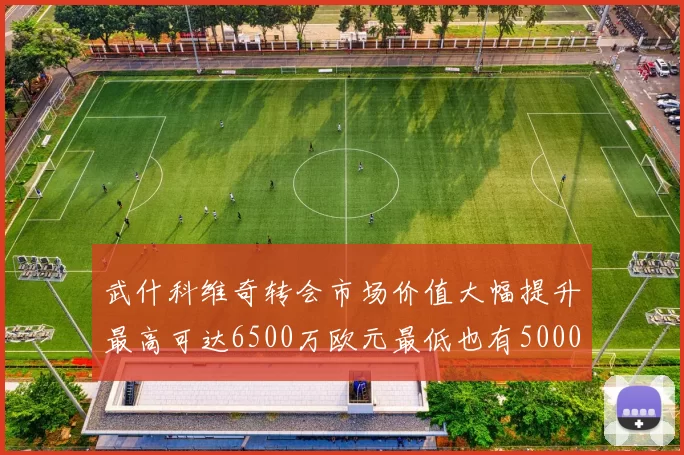 武什科维奇转会市场价值大幅提升最高可达6500万欧元最低也有5000万欧元